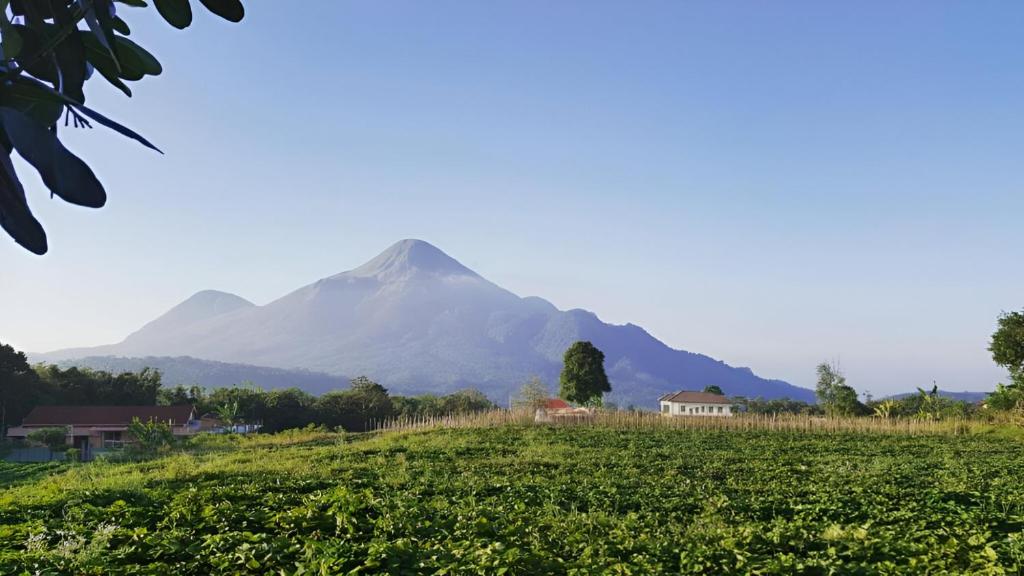 Avila Hotel in Trawas with Stunning Mountain Views – East Java, Indonesia